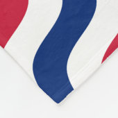 セントルイス、ミズーリの旗 フリースブランケット (角)