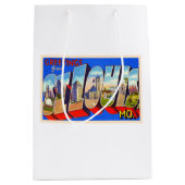 セントルイス・ミズーリ・ヴィンテージ・ラージ・レター ミディアムペーパーバッグ (正面)