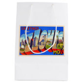 セントルイス・ミズーリ・ヴィンテージ・ラージ・レター ミディアムペーパーバッグ (裏面)