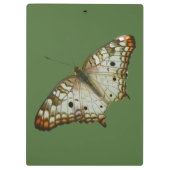 セントルシアからエキゾチックな蝶 クリップボード (裏面)