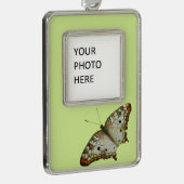 セントルシアからエキゾチックな蝶 シルバープレートフレームオーナメント (右)