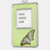 セントルシアからエキゾチックな蝶 シルバープレートフレームオーナメント (左)