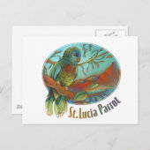 セントルシアの熱帯オウム ポストカード (正面/裏面)