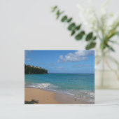 セントルシアビーチトロピカルバケーションランドスケープ (スタンド正面)