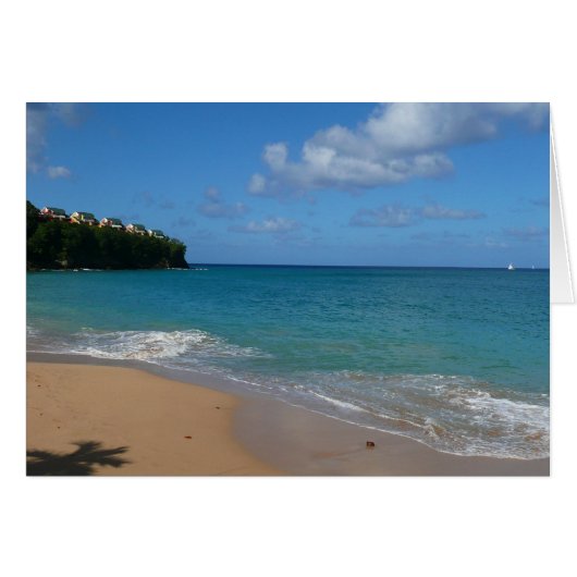 セントルシアビーチトロピカルバケーションランドスケープ (正面横)