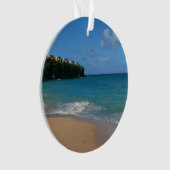セントルシアビーチトロピカルバケーションランドスケープ オーナメント (正面)