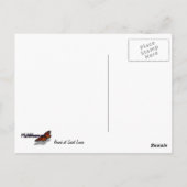 セントルシアビーチトロピカルバケーションランドスケープ ポストカード (裏面)