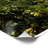 セントルシアピトン ポスター (コーナー)