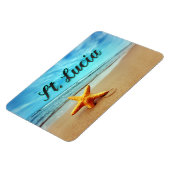 セントルシア・ヒトデ マグネット (左側)