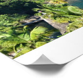 セントルシア ポスター (角)