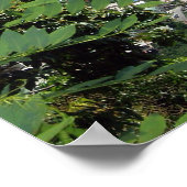 セントルシア・レピトン ポスター (角)