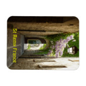 セントレミーフランス磁石 マグネット (横)