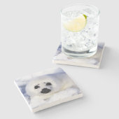 セントローレンス湾の氷上のアザラシの赤ちゃん ストーンコースター (横)