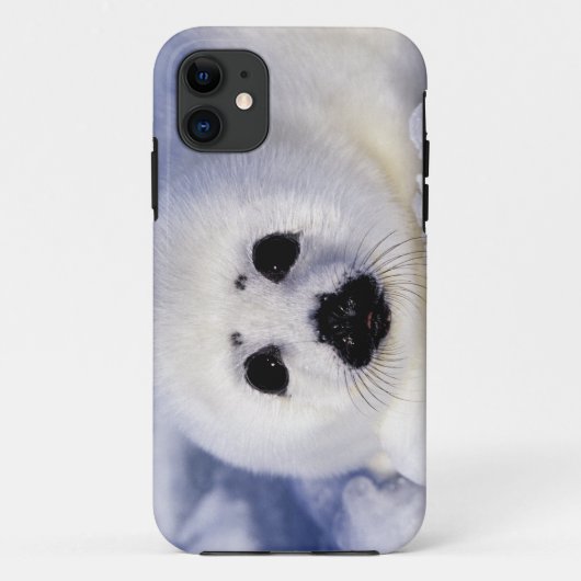 セントローレンス湾の氷上のアザラシの赤ちゃん Case-Mate iPhoneケース (裏面)