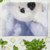 セントローレンス湾の竪琴のシールパイプ キッチンタオル (折り畳み)