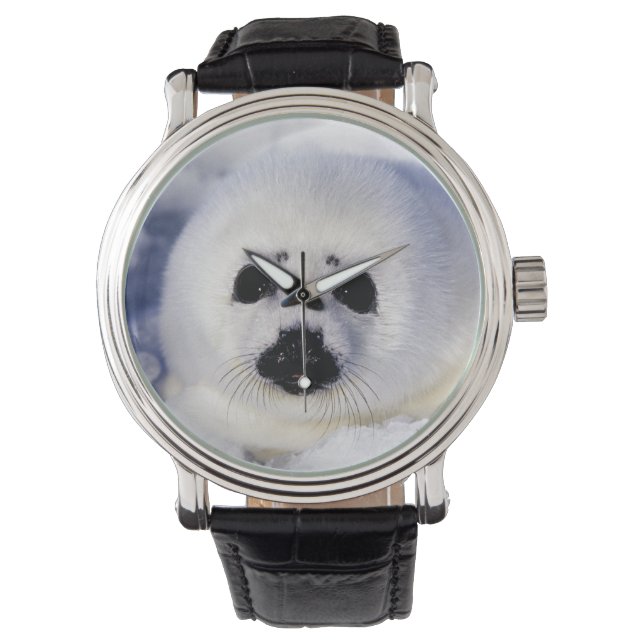 セントローレンス湾の竪琴のシールパイプ 腕時計 (正面)