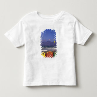 セント・ジェームズ湾の水着ボックス、ケープタウン近く、2 トドラーTシャツ