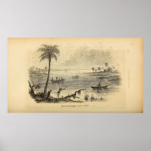 セント・ジョンズ川のセミノール