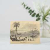 セント・ジョンズ川のセミノール ポストカード (スタンド正面)