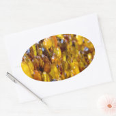 セント·トマス2 楕円形シール (封筒)