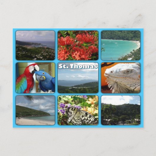 セント・トーマス写真コラージュ葉書 ポストカード (正面)