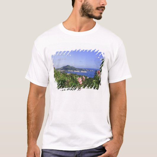 セント・トーマス島、米領バージン諸島。シャーロット Tシャツ (正面)