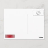 セント・パトリックの日レプレシャン猫はがき ポストカード (裏面)