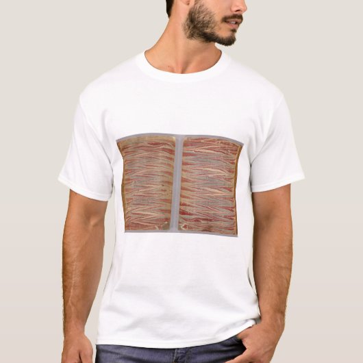 セント・ピーターズバーグ、ロシア6 Tシャツ (正面)