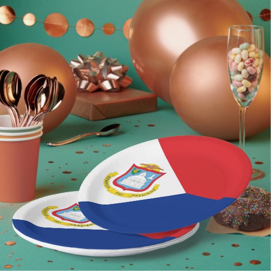 セント・マーチン島の旗 ペーパープレート (複数)