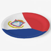 セント・マーチン島の旗 ペーパープレート (アングル)