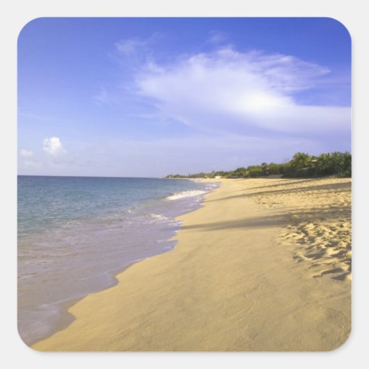 セント・マーチン島のBaie Longue Long Bay beach, スクエアシール (正面)