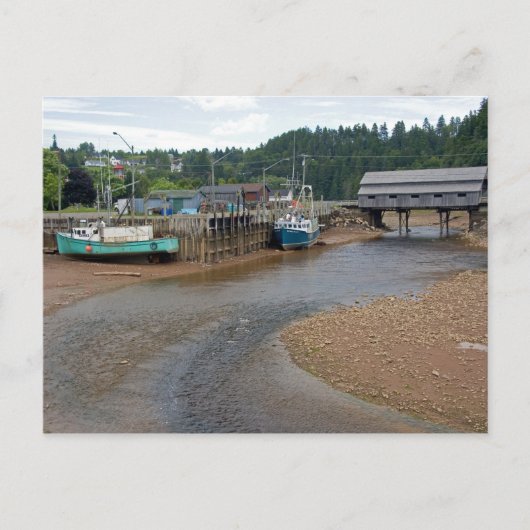 セント・マーティンスのファンディ湾の干潮、ニュー ポストカード (正面)