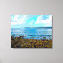 センネンコーブ西コーンウォール