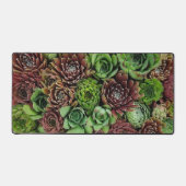 センペルビウムの植物の鳥瞰図 デスクマット (正面)