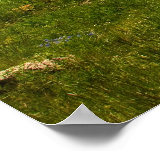 セヴァン修道院の風景 ポスター (角)