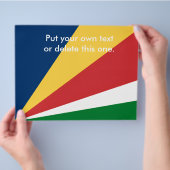 セーシェルカラー付きフライヤーデザイン チラシ (手)