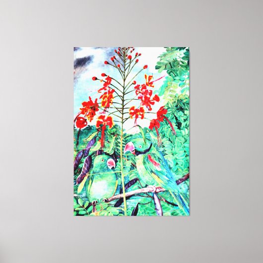 セーシェルズパラケート、シッタキュラワルディ キャンバスプリント (正面)