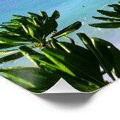 セーシェルトロピカルアイランドビーチ ポスター (コーナー)