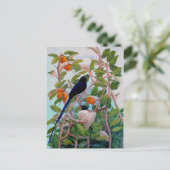 セーシェルパラダイスフライキャッチャー ポストカード (スタンド正面)