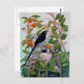 セーシェルパラダイスフライキャッチャー ポストカード (正面/裏面)