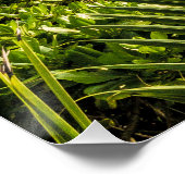 セーシェルラディグースサンセットビーチホリデースーベリーホテル ポスター (コーナー)