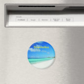 セーシェル磁石 マグネット (インサイチュ (食洗機))