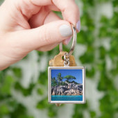 セーシェル。イロットサンピエール（プラスリン近く） キーホルダー (手)