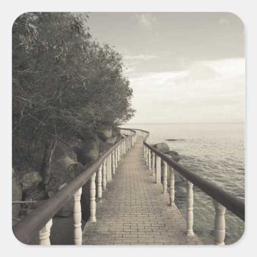 セーシェル、プラスリン島、アンセボワドバラ、 スクエアシール (正面)