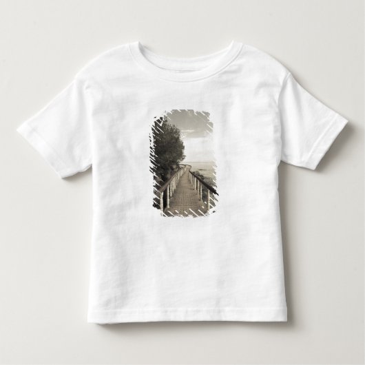 セーシェル、プラスリン島、アンセボワドバラ、 トドラーTシャツ (正面)