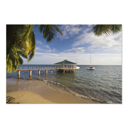 セーシェル、プラスリン島、アンセボワドバラ、 フォトプリント (正面)