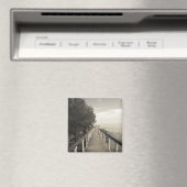 セーシェル、プラスリン島、アンセボワドバラ、 マグネット (インサイチュ (食洗機))