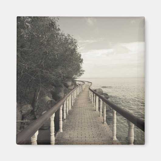 セーシェル、プラスリン島、アンセボワドバラ、 マグネット (正面)