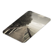 セーシェル、プラスリン島、アンセボワドバラ、 マグネット (左側)