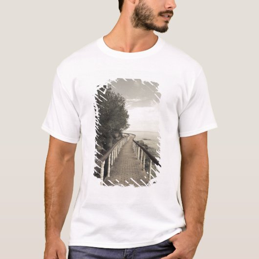 セーシェル プララン島 アンス・ボア・ド・ローズ Tシャツ (正面)